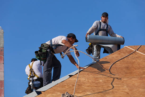 Best Roof Gutter Cleaning  in Summerde, AL